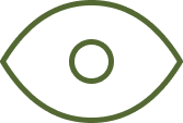 Our Vision