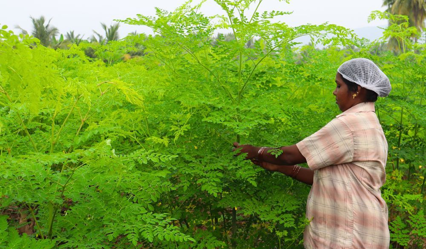 Farm Image
